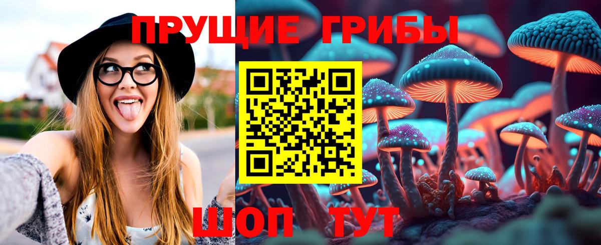 Псилоцибиновые грибы мицелий Кохма